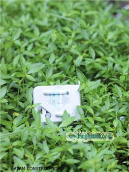 Bánh xe đơn Kinlong